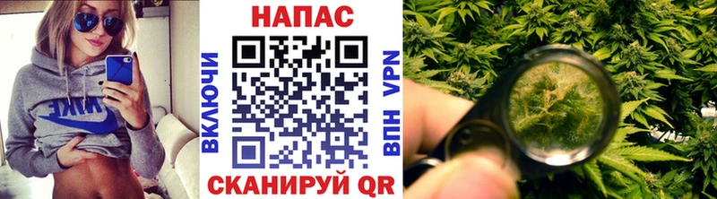 цены   Сертолово  Бошки Шишки AK-47 